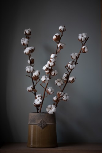 Bawelna-pion-lavida-wroclaw